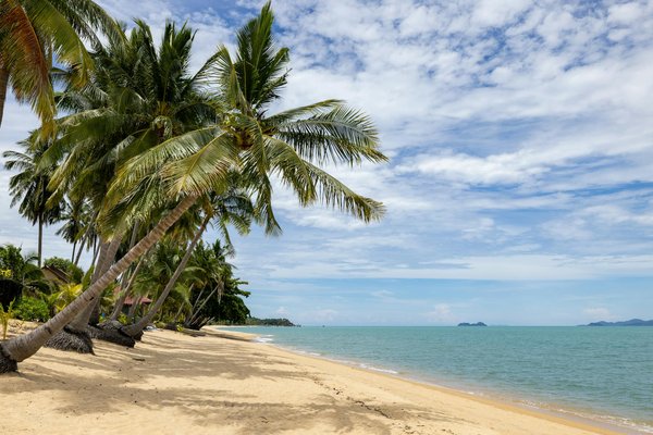 Nouvelles régions à portée de main grâce à la location de voiture en quelques clics